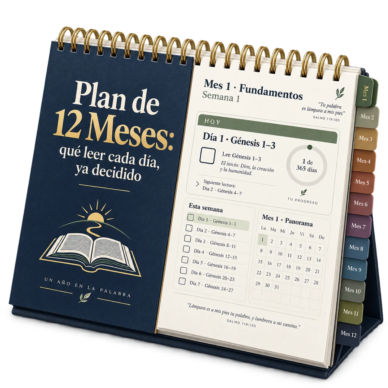 Plan de 12 meses